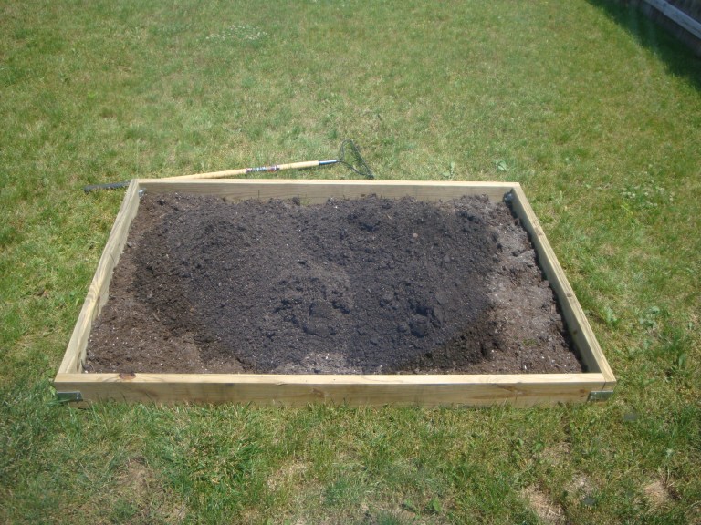 View from the dining room!